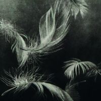 Feathers, manière noire, 2002