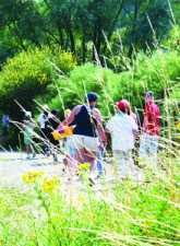 Parcours-visite en famille Jardin de sculptures