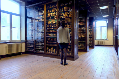 Photo du musée Musée Henri Dupuis