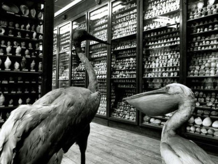 Photo du musée Musée Henri Dupuis